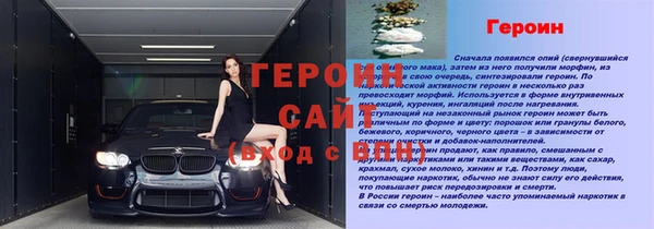 мдпв Гусь-Хрустальный