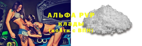 амф Гусиноозёрск