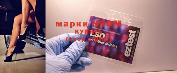 амф Гусиноозёрск
