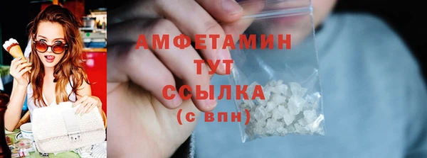 мдпв Гусь-Хрустальный