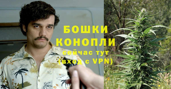 каннабис Гусев