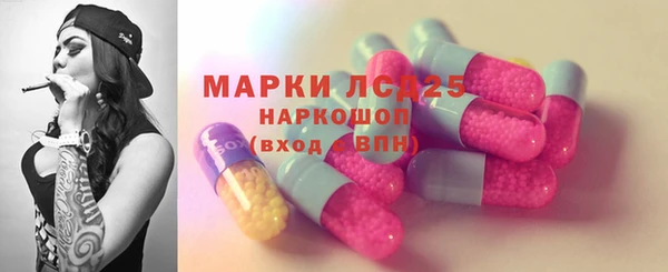 амф Гусиноозёрск