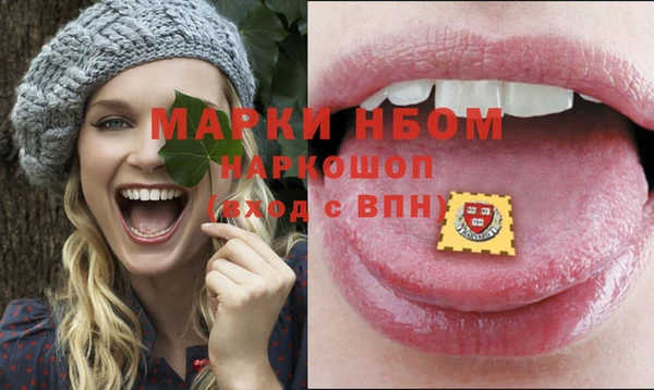 мдпв Гусь-Хрустальный