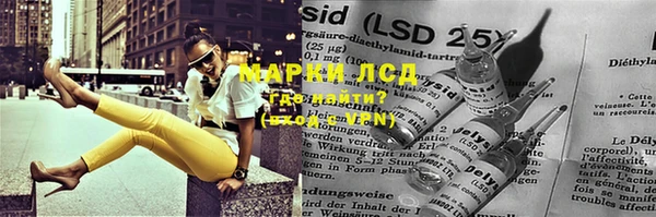 амф Гусиноозёрск
