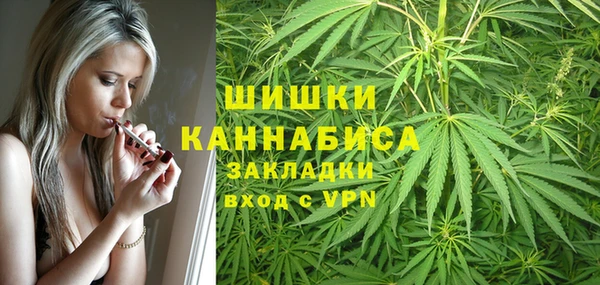 амф Гусиноозёрск
