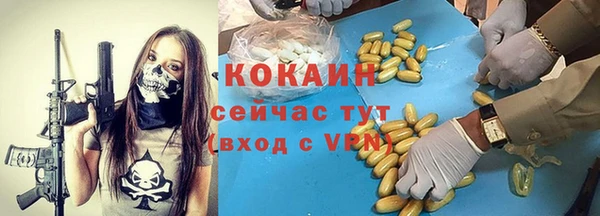 мдпв Гусь-Хрустальный