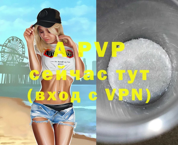 мдпв Гусь-Хрустальный