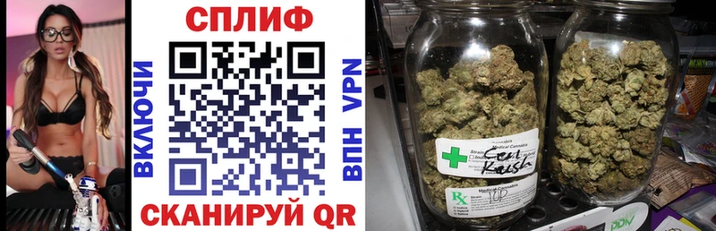 Купить закладки  Трубчевск  Канабис гибрид 